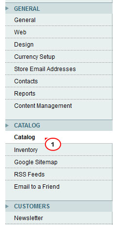 Magento.-How-to-setup-Cloud-Zoom-extension-store-view-specific-settings2.jpg